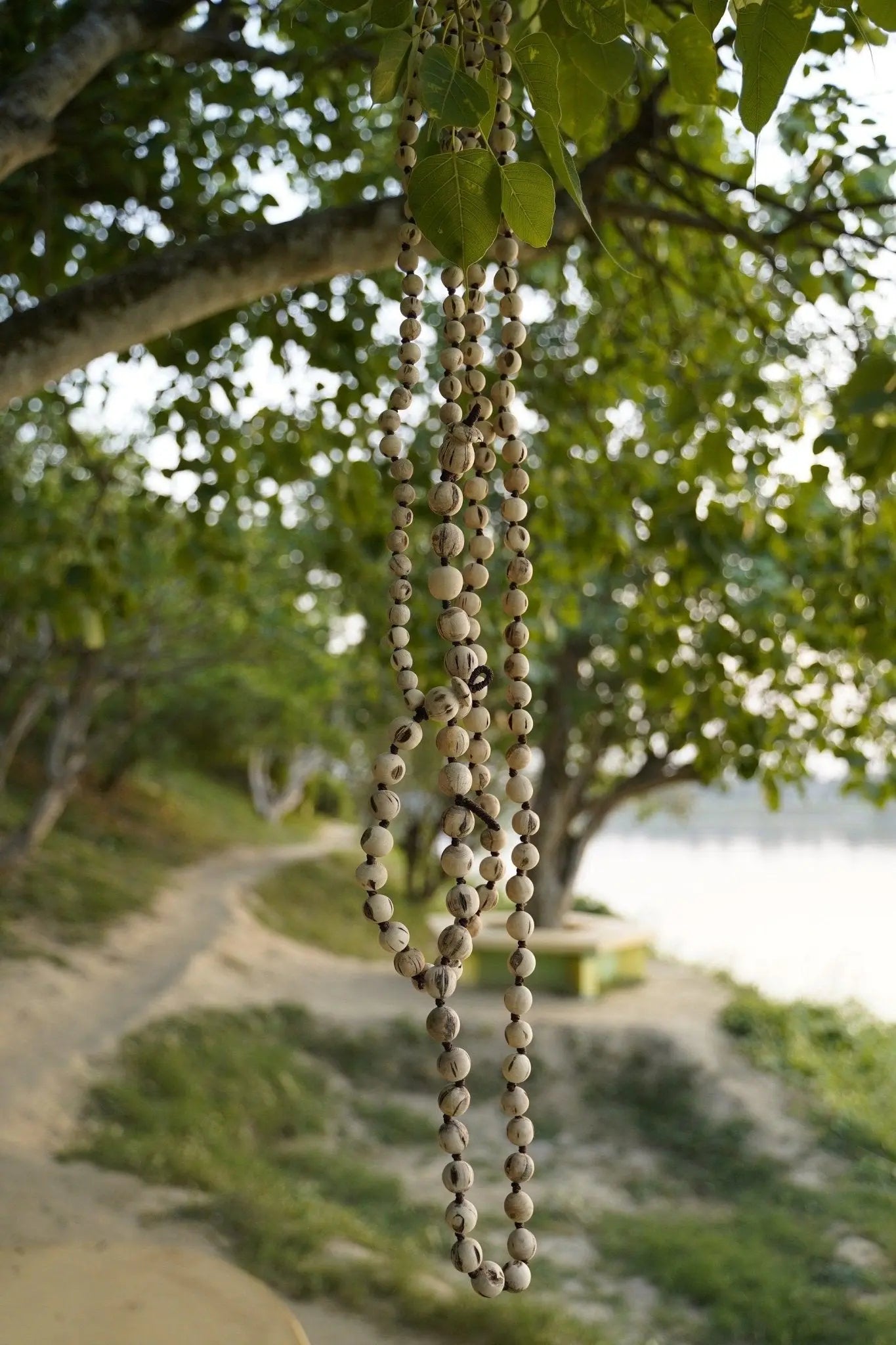 Original Tulsi Japa Mala (Natural Color) "100% Authentic Genuine Tulsi"