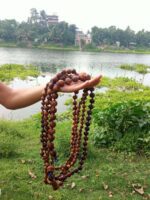 Tulsi Japa Mala with Round Beads